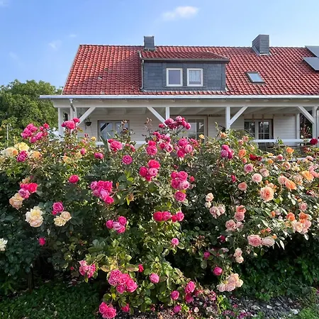 Spindler Hof Harz Apartment Langeln (Saxony-Anhalt)